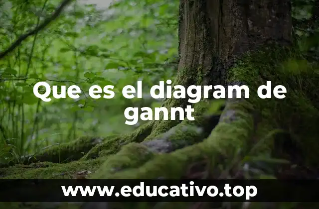 Que es el diagram de gannt