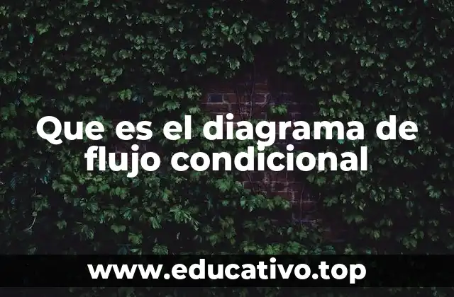 Que es el diagrama de flujo condicional