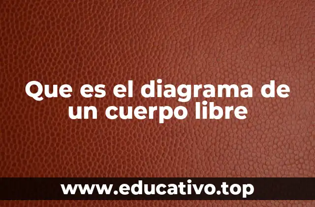 La importancia de visualizar las fuerzas en física