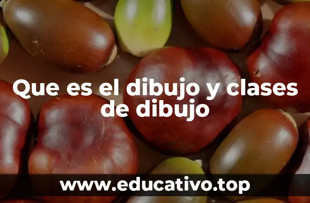 Que es el dibujo y clases de dibujo