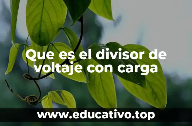 Que es el divisor de voltaje con carga