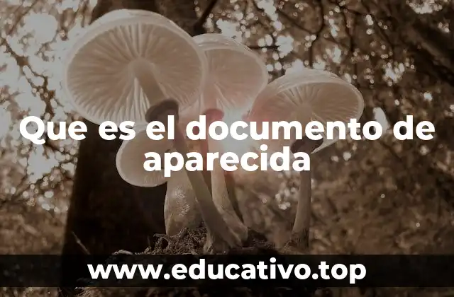 Que es el documento de aparecida