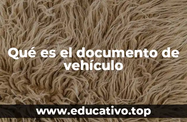 Qué es el documento de vehículo