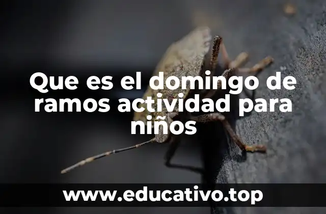 Que es el domingo de ramos actividad para niños