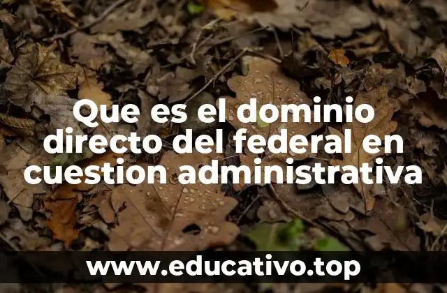 Que es el dominio directo del federal en cuestion administrativa