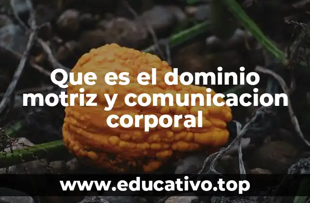 Que es el dominio motriz y comunicacion corporal