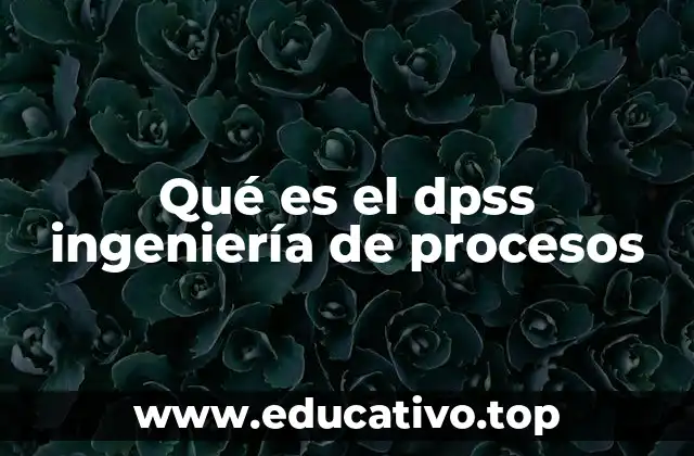 Qué es el dpss ingeniería de procesos