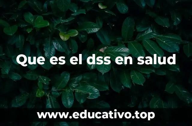 Que es el dss en salud