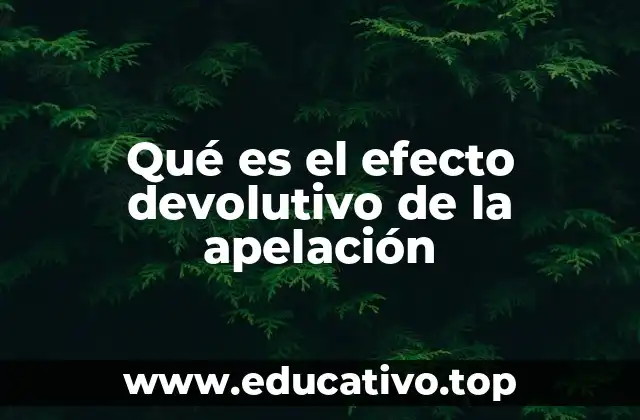 Qué es el efecto devolutivo de la apelación