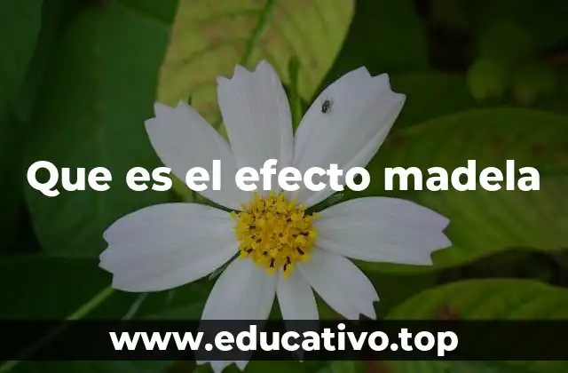 Que es el efecto madela