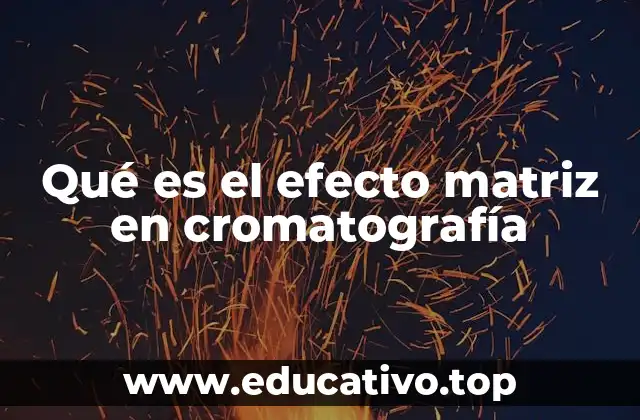 Qué es el efecto matriz en cromatografía