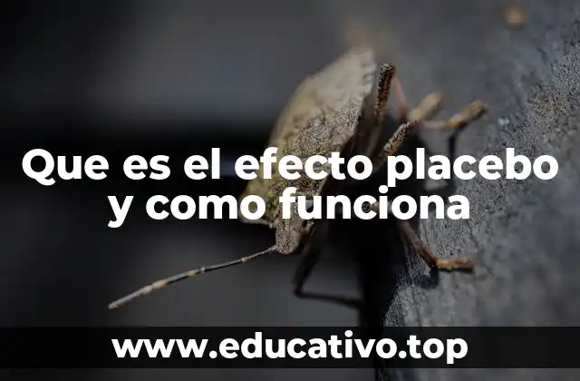Que es el efecto placebo y como funciona