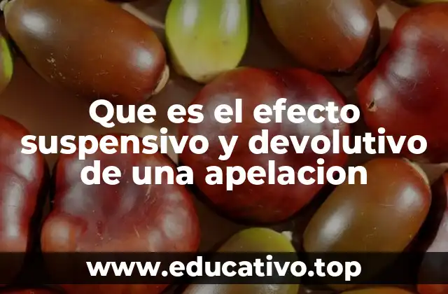 Que es el efecto suspensivo y devolutivo de una apelacion