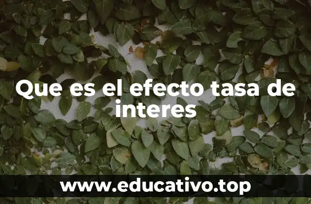Que es el efecto tasa de interes