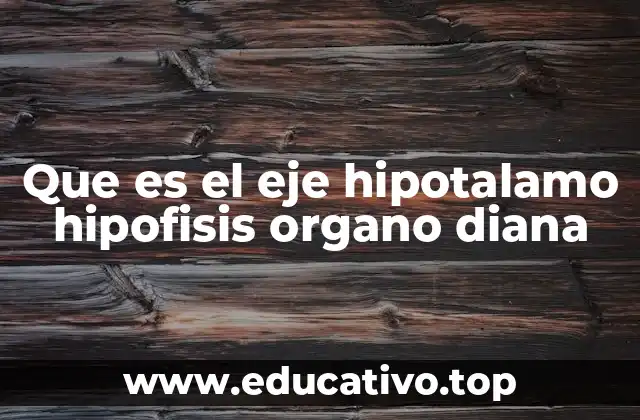 El sistema endocrino y la regulación hormonal
