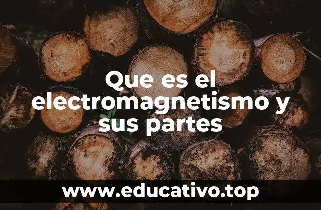 Que es el electromagnetismo y sus partes