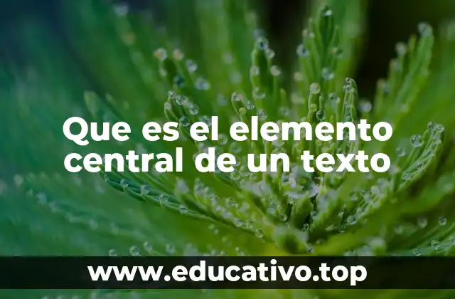 Que es el elemento central de un texto