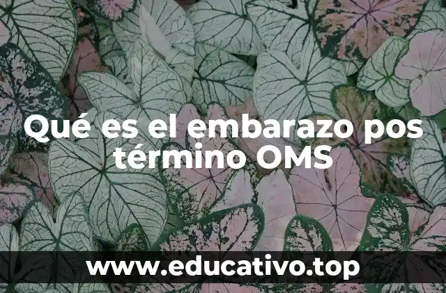 Qué es el embarazo pos término OMS