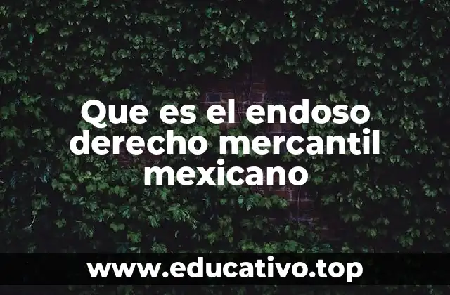 Que es el endoso derecho mercantil mexicano
