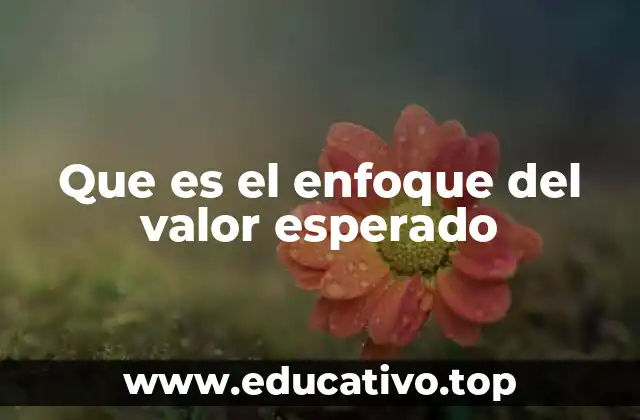 Que es el enfoque del valor esperado