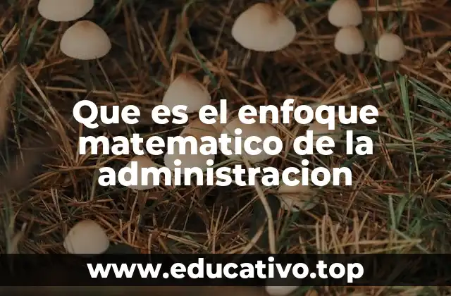 Que es el enfoque matematico de la administracion