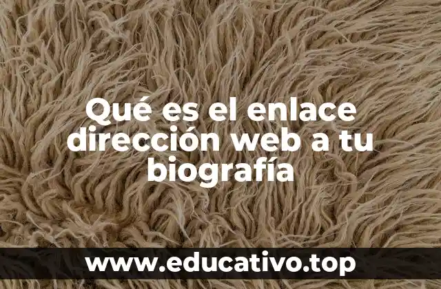 Qué es el enlace dirección web a tu biografía