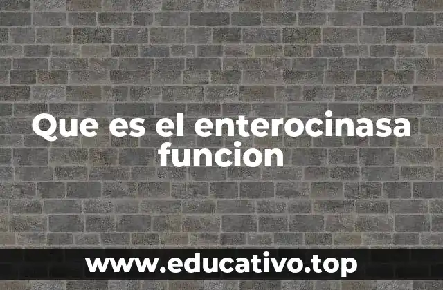 El papel de la enterocinasa en la digestión de proteínas