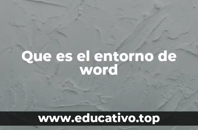 Que es el entorno de word