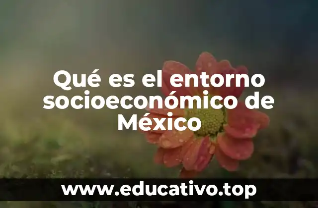 Factores que conforman el entorno socioeconómico de México