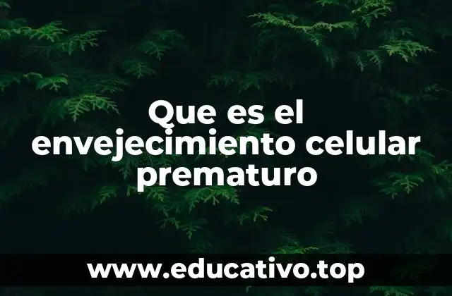 Que es el envejecimiento celular prematuro