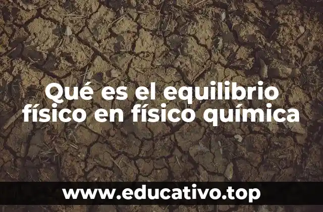 Qué es el equilibrio físico en físico química