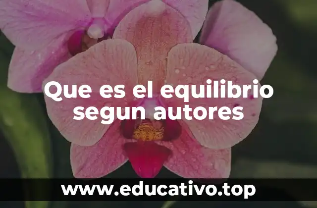 El equilibrio en diferentes contextos académicos