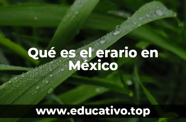 Qué es el erario en México