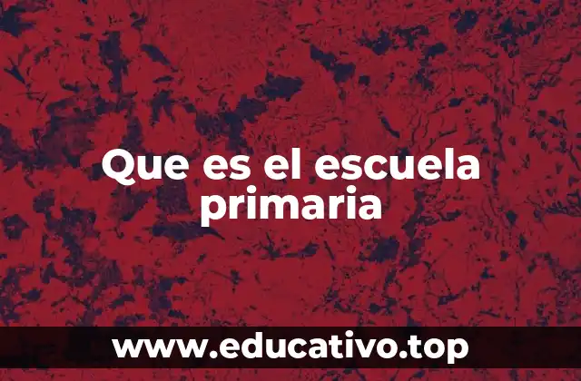 El papel de la escuela primaria en el desarrollo infantil