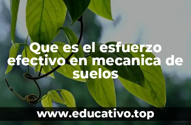 La importancia del esfuerzo efectivo en la estabilidad de los suelos