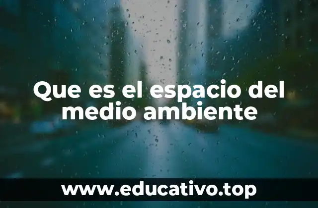 Que es el espacio del medio ambiente