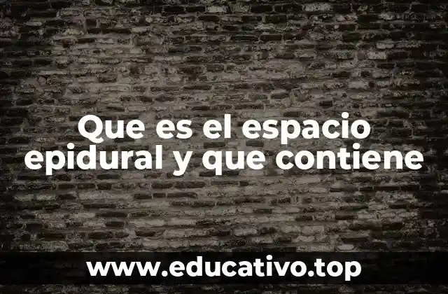 Que es el espacio epidural y que contiene