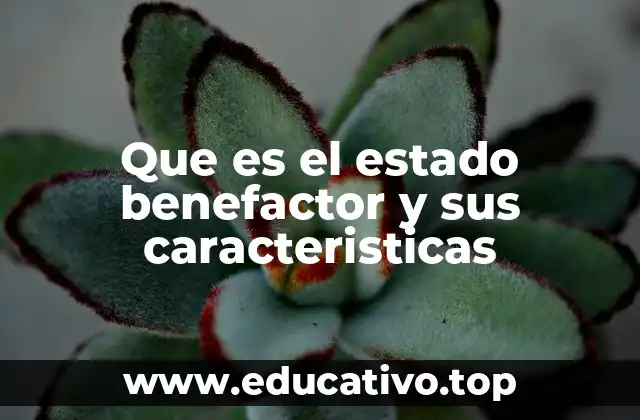 Que es el estado benefactor y sus caracteristicas