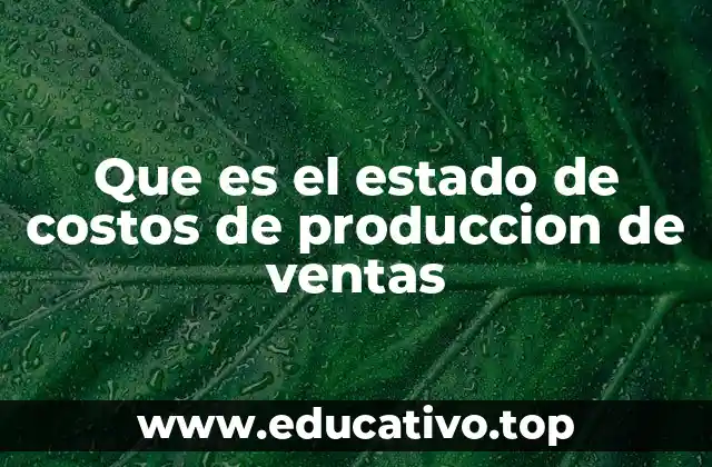 Que es el estado de costos de produccion de ventas