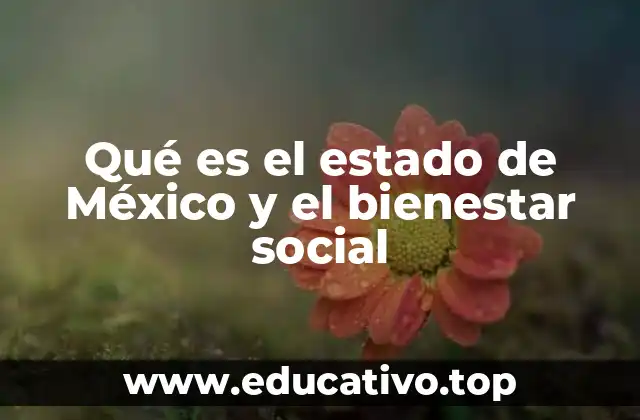 Qué es el estado de México y el bienestar social