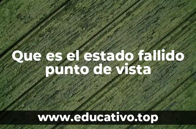 Que es el estado fallido punto de vista