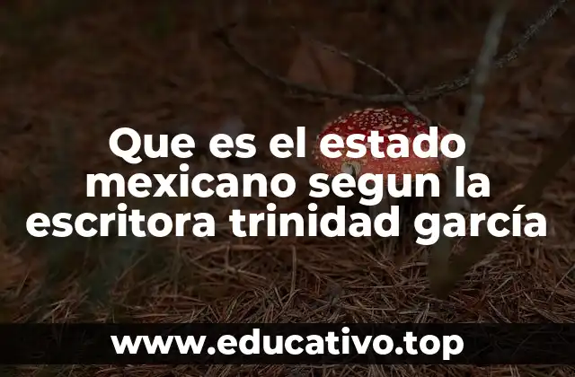 Que es el estado mexicano segun la escritora trinidad garcía