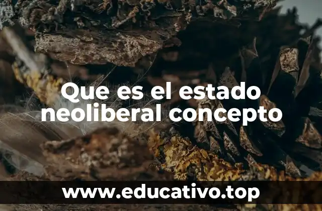 Que es el estado neoliberal concepto