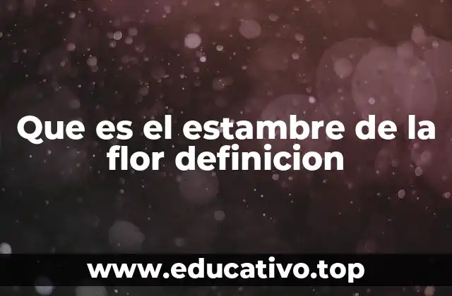 Que es el estambre de la flor definicion