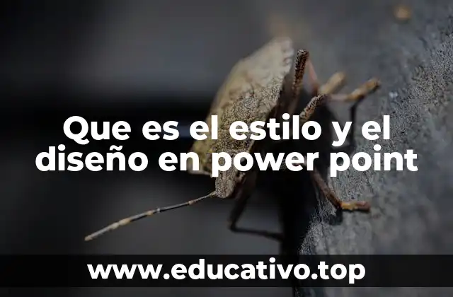 Que es el estilo y el diseño en power point