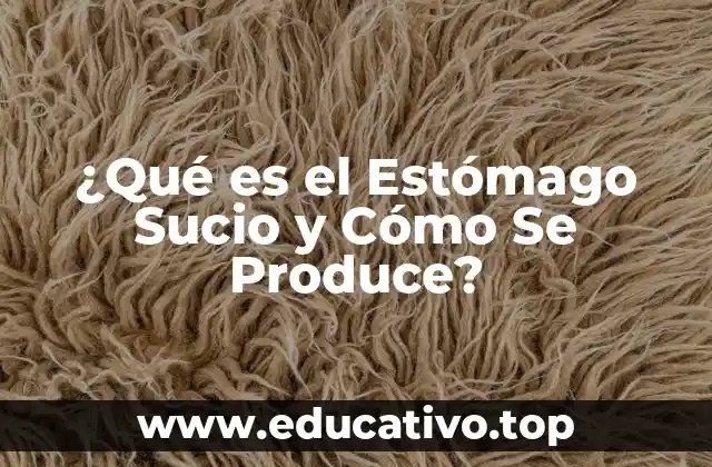Causas del Estómago Sucio: Factores que Lo Provocan