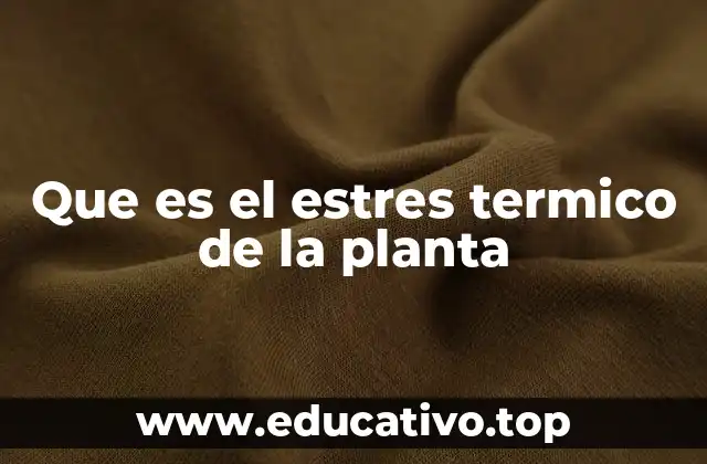 Cómo el calor extremo afecta la fisiología vegetal