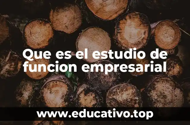 Que es el estudio de funcion empresarial
