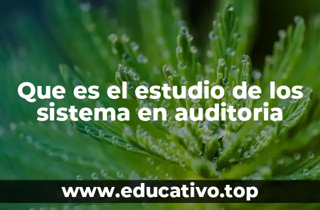 Que es el estudio de los sistema en auditoria