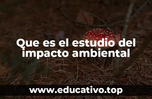 El rol del estudio ambiental en la toma de decisiones